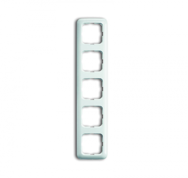 Busch Jaeger Rahmen 5-fach 2515-214