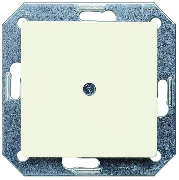Siemens 5TG2558 DELTA i-system Blindplatte 55x55mm