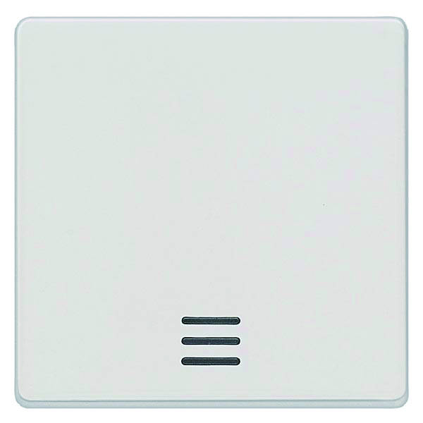 Siemens 5TG6200 DELTA i-system Wippe m.Fenster 55x55mm titanweiß