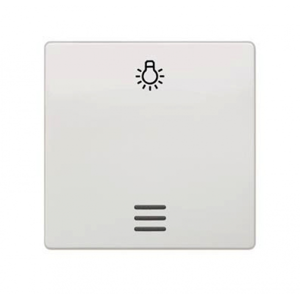 Siemens 5TG6206 DELTA i-system Wippe mit Fenster, Symbol Licht