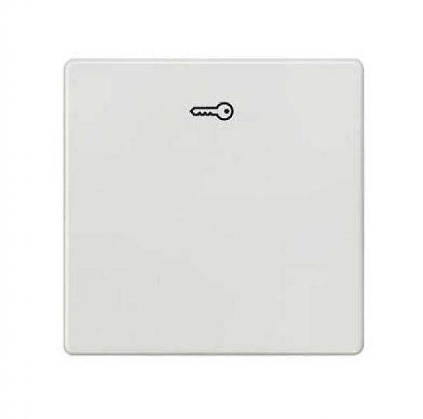 Siemens 5TG6208 DELTA i-system Wippe mit Symbol Türöffner titanweiß