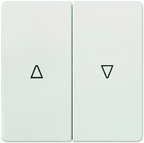 Siemens 5TG6214 DELTA i-system Wippe mit Jalousiensymbolen für Jalousietaster