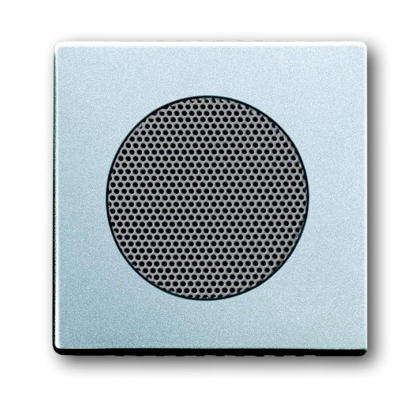 Busch Jaeger Zentralscheibe 8253-83