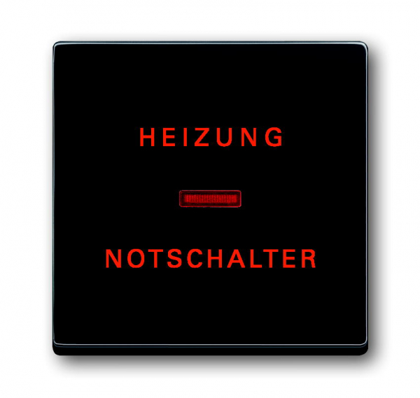 Busch Jaeger Wippe mit Aufdruck 1789 H-81