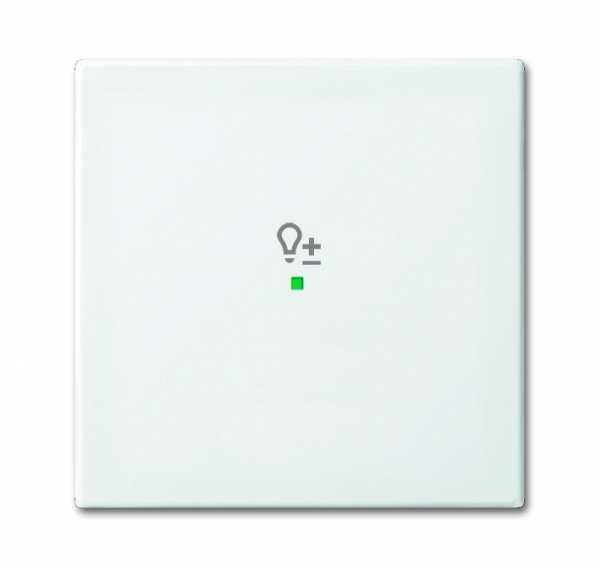Wippe, 1-fach, mit Symbol "Dimmer" 6234-10-914