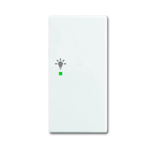 Wippe, 2-fach rechts, Symbol "Licht" 6231-22-914