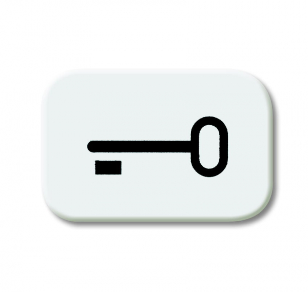 Tastersymbol, "Schlüssel" 2525 TR-214