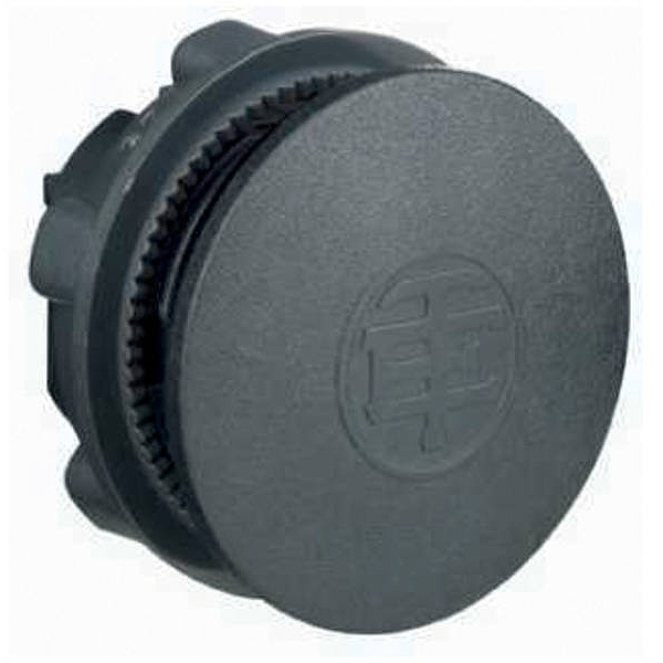 Schneider ZB2SZ3 Blindverschluss