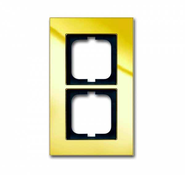 Carat Rahmen 1722-823-101 Gold 2-fach