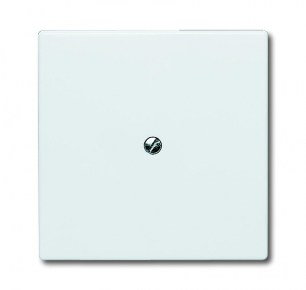 Blindabdeckung 2138-34 alpineweiss