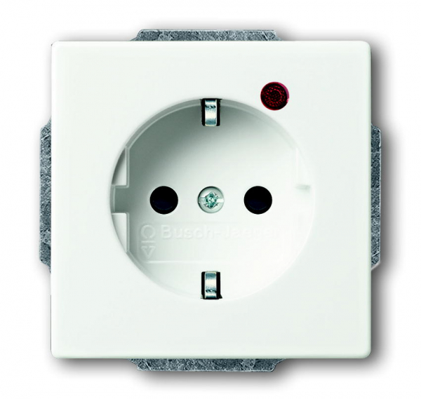 Busch Protector Steckdose 2310 EUGL/VA-884-11