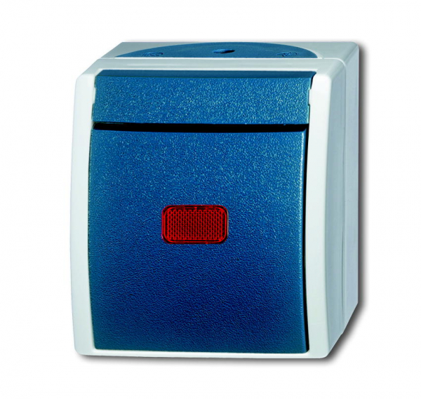 Busch Kontrollschalter 2601/6 SKW-53