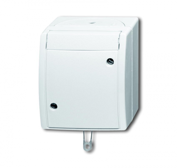 Busch Zugschalter 2610/6 W-54