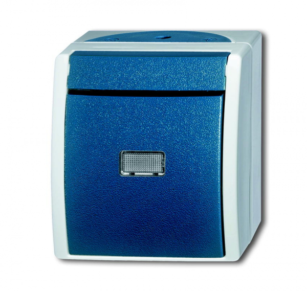 Busch Taster Schließer 2621 WGL-53