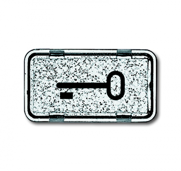 Tastersymbol Schlüssel 2622 TR-101
