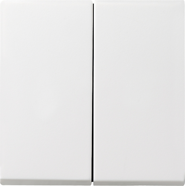 GIRA 029527 Wippe Serienschalter