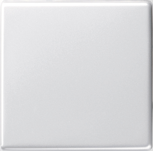 Gira 029603 Wippe Wechselschalter