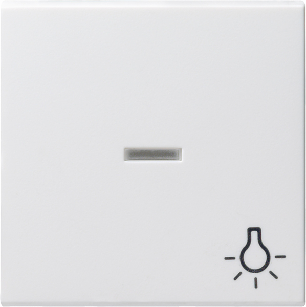Gira 067403 Wippe Licht