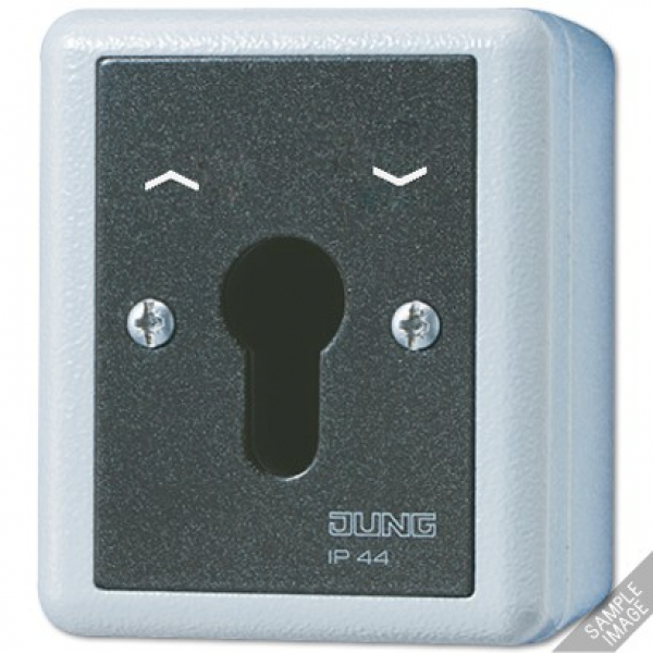 Jung 806.28G Schluesselschalter