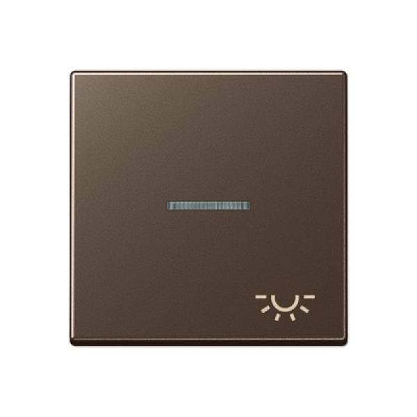 Jung A590KO5LMO Kontrollwippe mit Symbol "Licht"