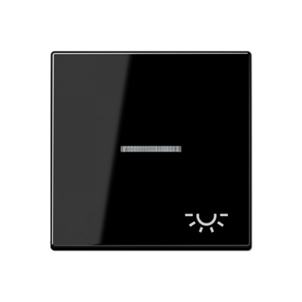 Jung A590KO5LSW Wippe m. Symbol "Licht"