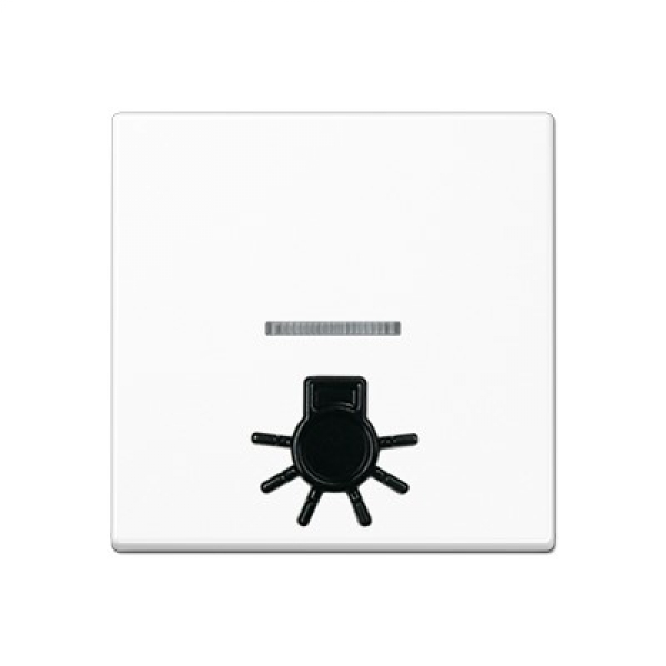 Jung A590L1KOWW Wippe m. tastbarem Symbol "Licht"