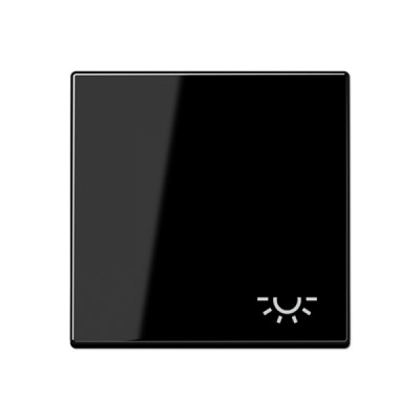 Jung A590LSW Wippe m. Symbol "Licht"